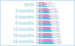 Avg Baby Weight Chart